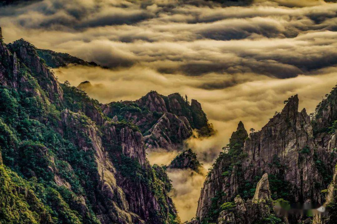 【记者节】黄山"土记者"的风光摄影作品赏析_景区_宣传_胡珊
