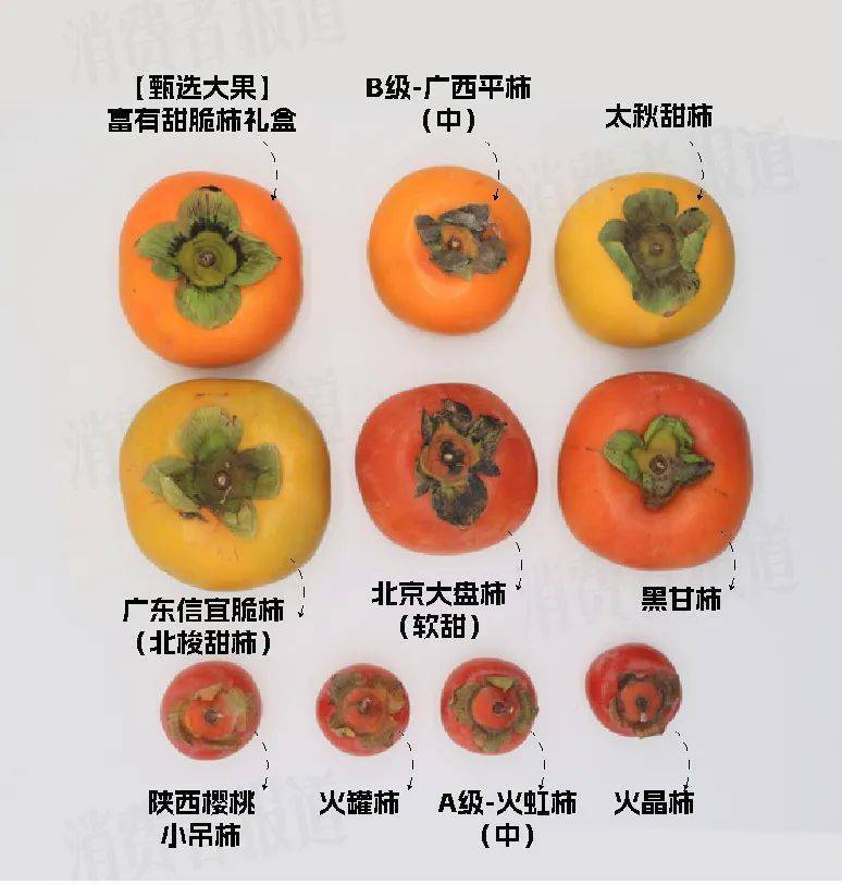 10品种柿子测评：脆柿软柿PK；近百元的“黑心柿子”在伤害谁的钱包？_搜狐网