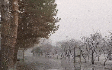 今冬北方首场大范围雨雪来袭_地区_部分_新疆