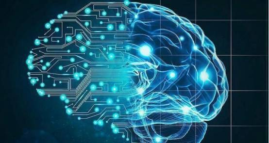 研究_领域_学科