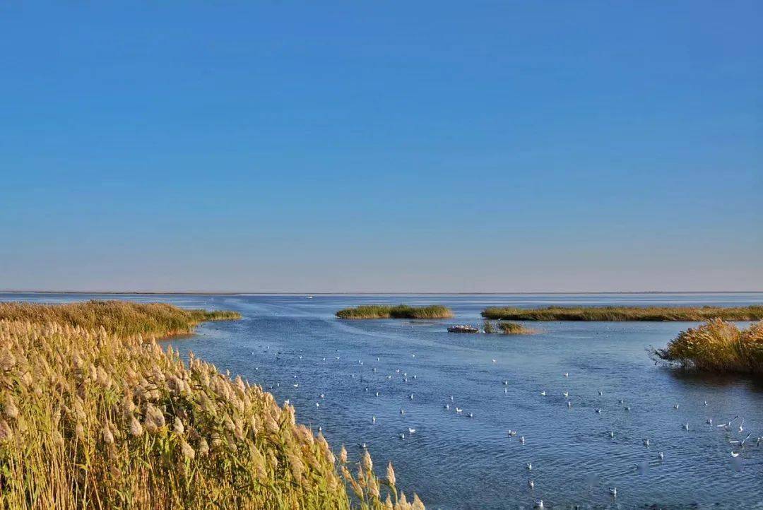 黑河尾闾东居延海实现连续18年不干涸 流域生态环境持续改善_调度