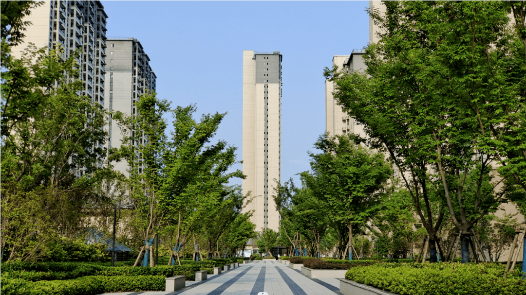 碧桂园臻山府图片