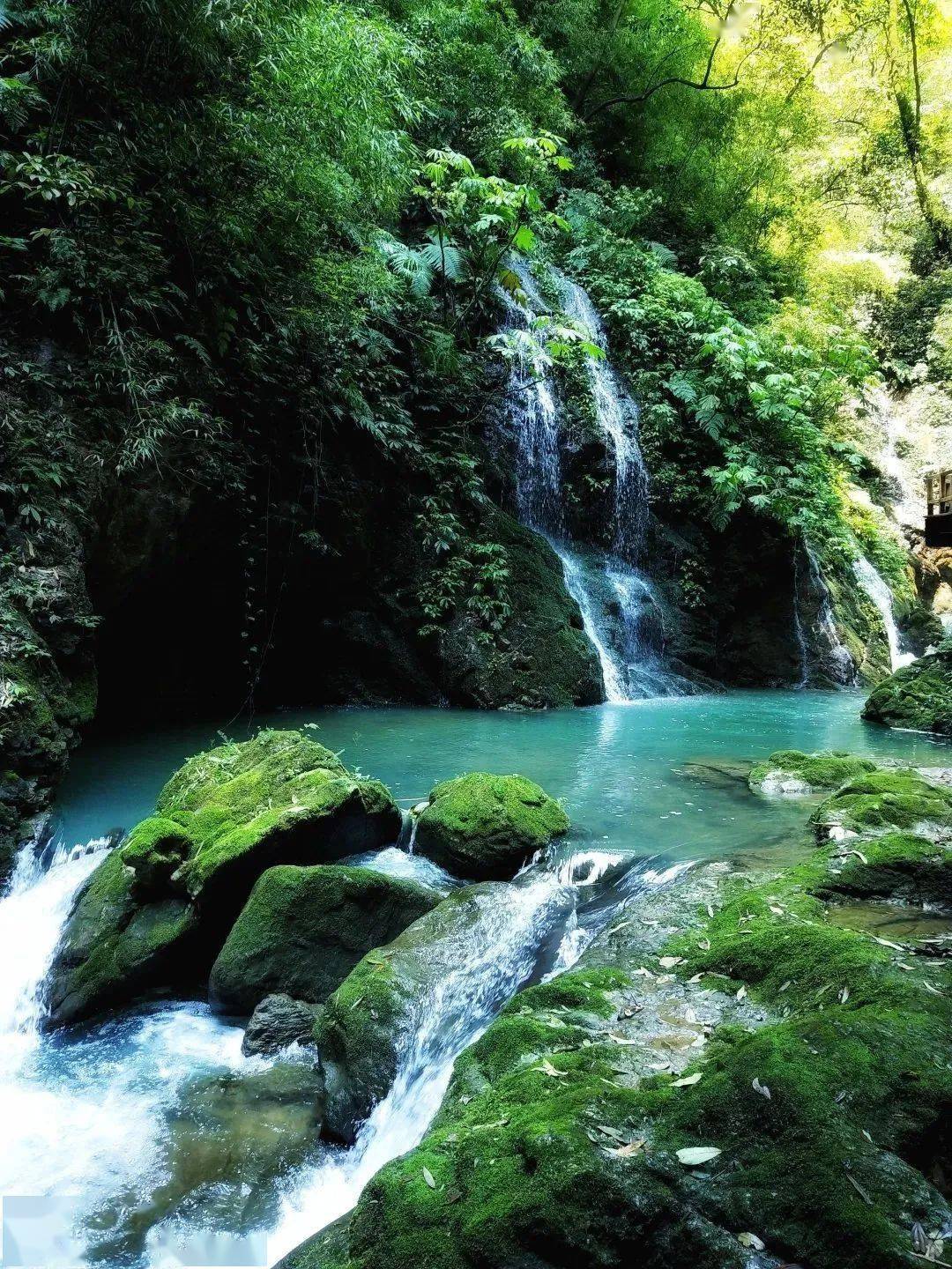 每周一图丨地质公园见证巴山渝水间的沧海桑田