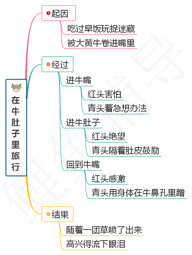 小学三年级语文上册《在牛肚子里游览》常识点，图文解读材料