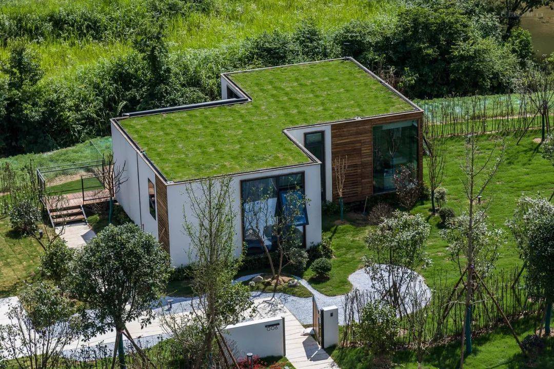 金寨这10家民宿,藏着我们向往的诗和远方