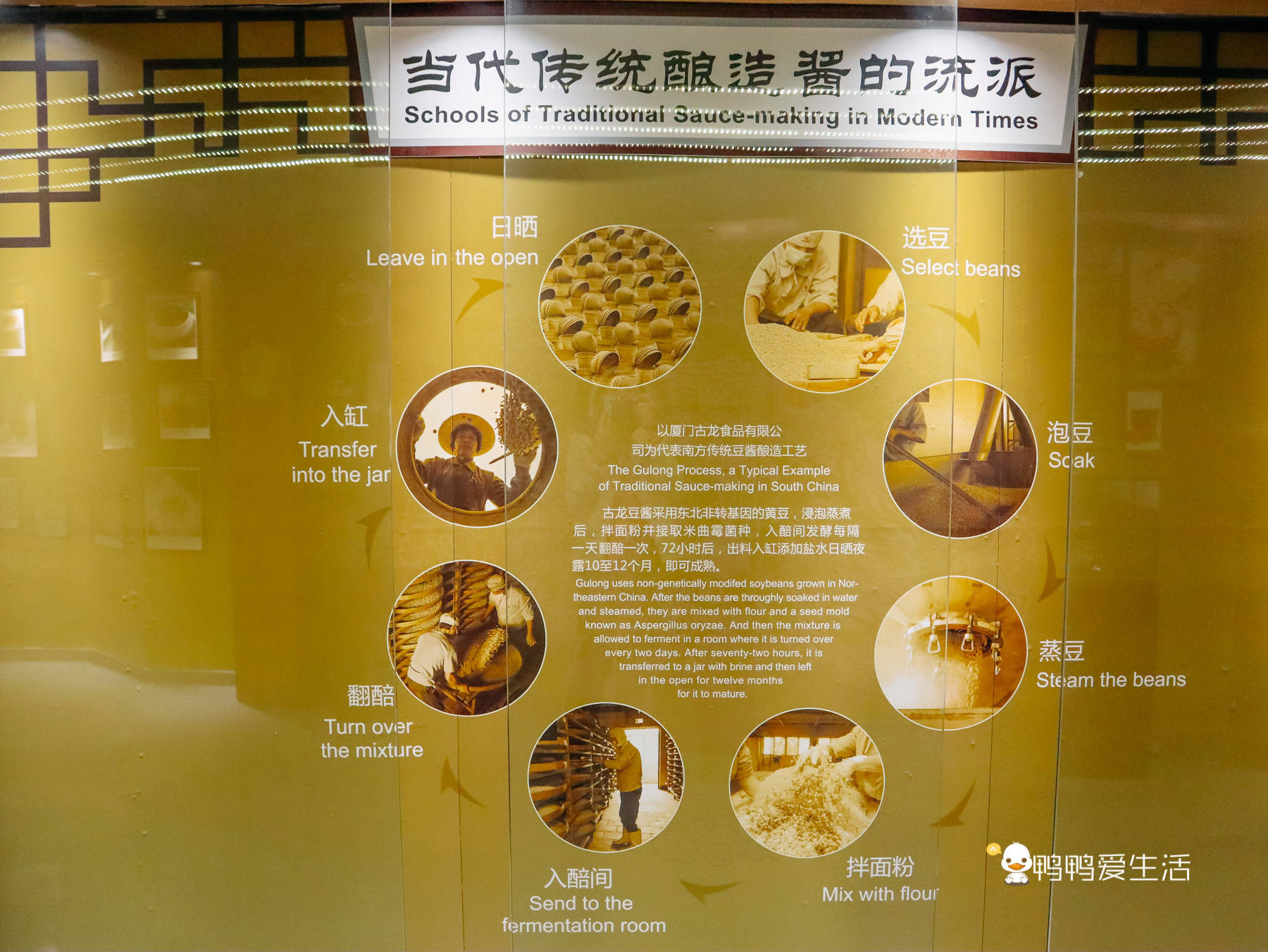 古龙酱文化园近6万口大缸整齐排列,还有特色冰淇淋_厦门_技艺_大海