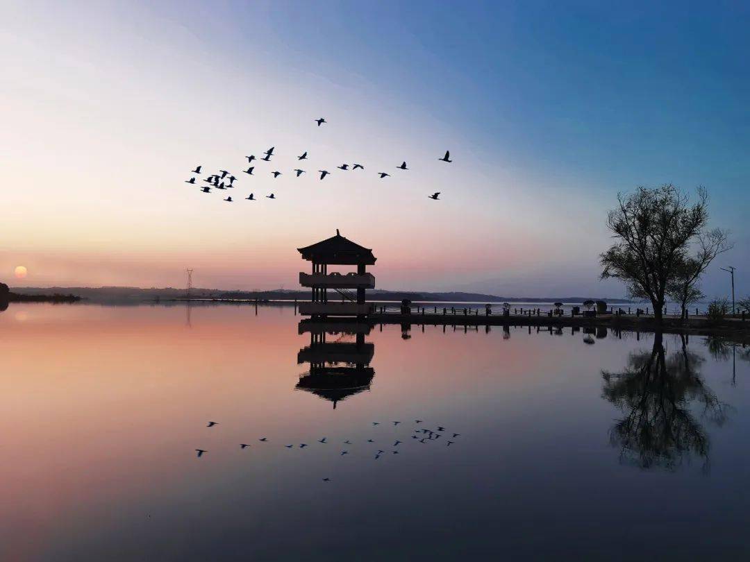 神韵随州 一见钟情丨相约编钟之乡,共襄文旅盛宴_文化_西游记_银杏