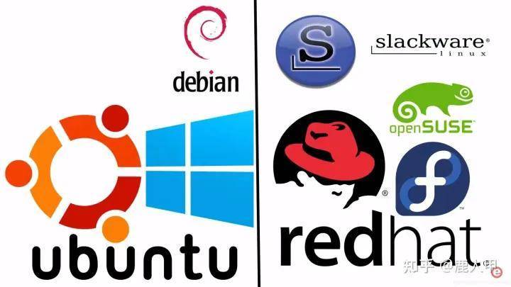 服务器为什么大多用 Linux？