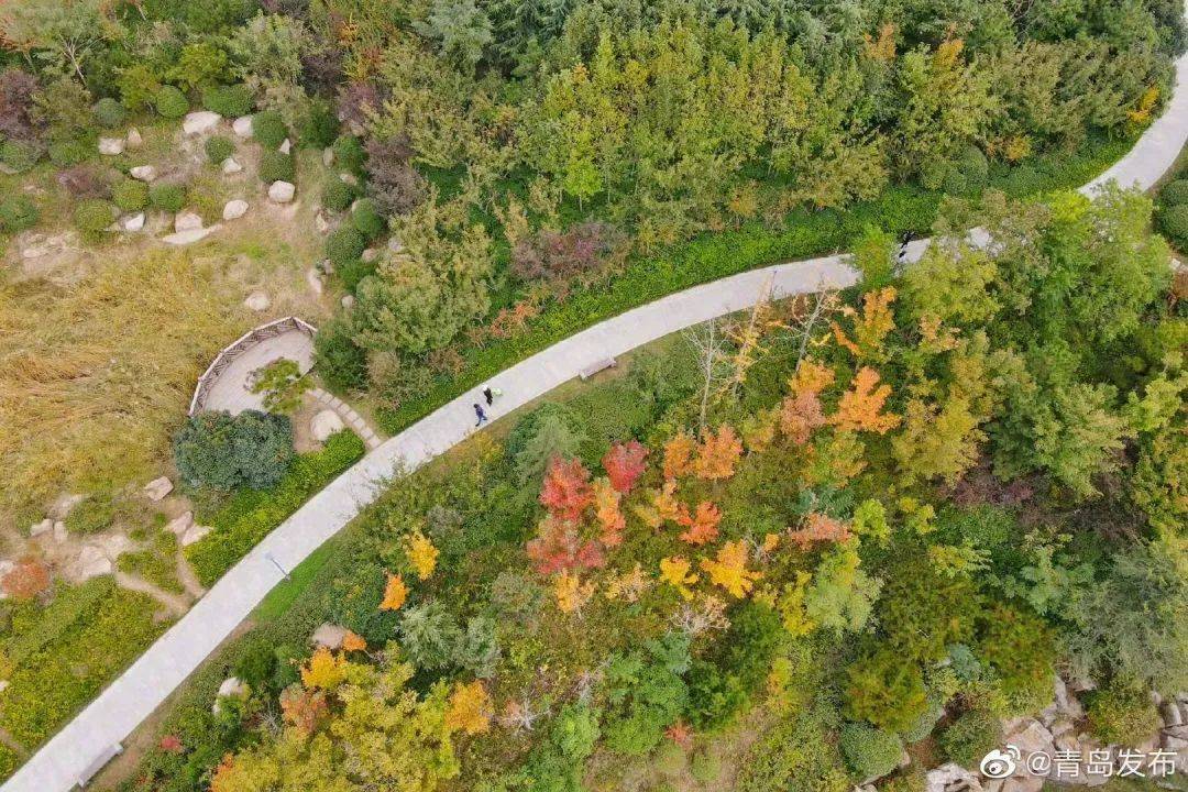 慢跑或踱步在象耳山公园内,丝丝凉风迎面而来,顿时神清气爽.