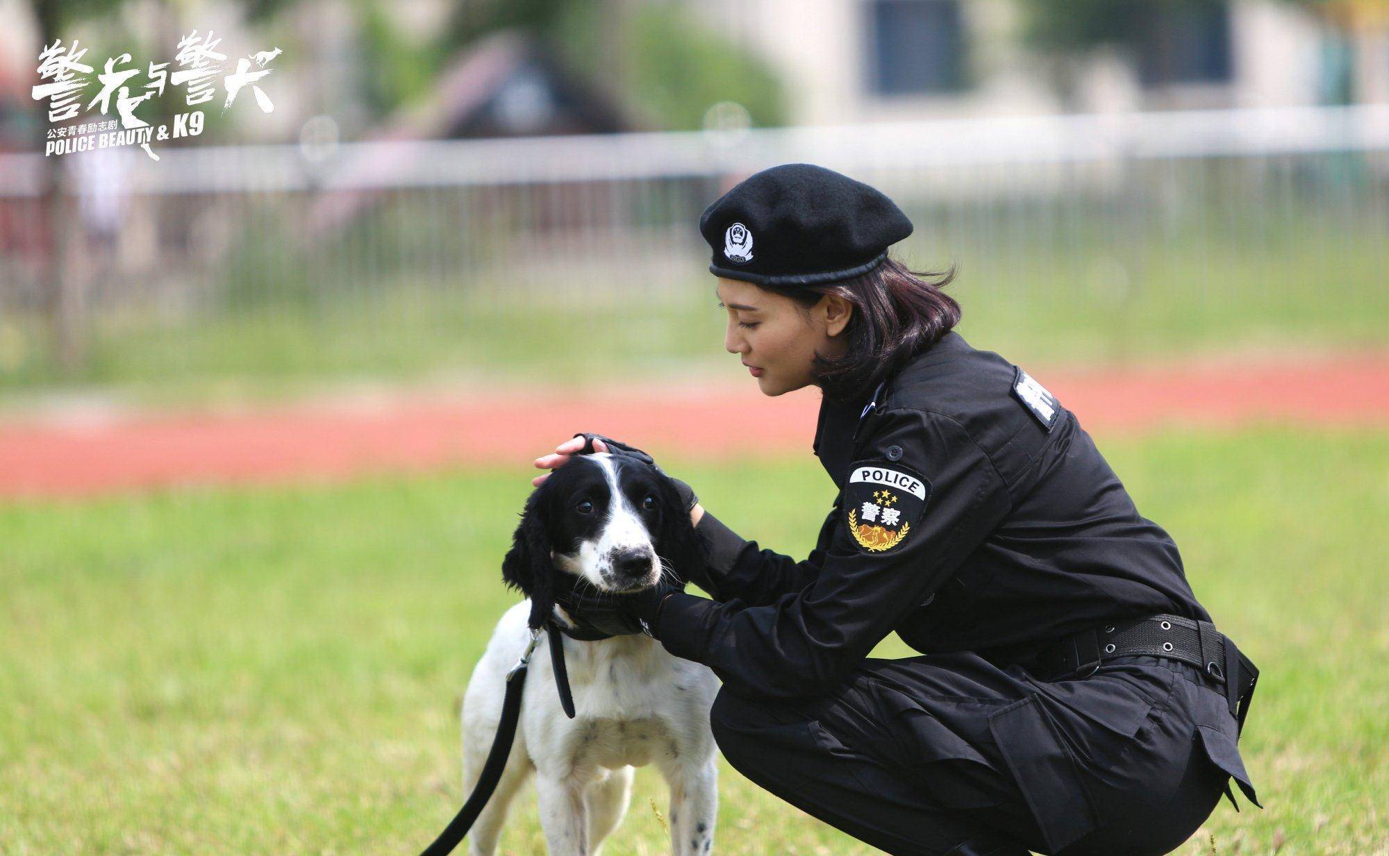 《警花与警犬》第三部筹备,于和伟侯梦莎难再续,第二部积压未播