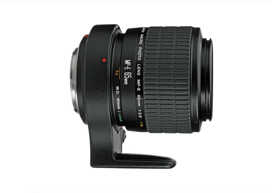 佳能mp-e 65mm f/2.8 1-5x macro微距镜头停产_消息