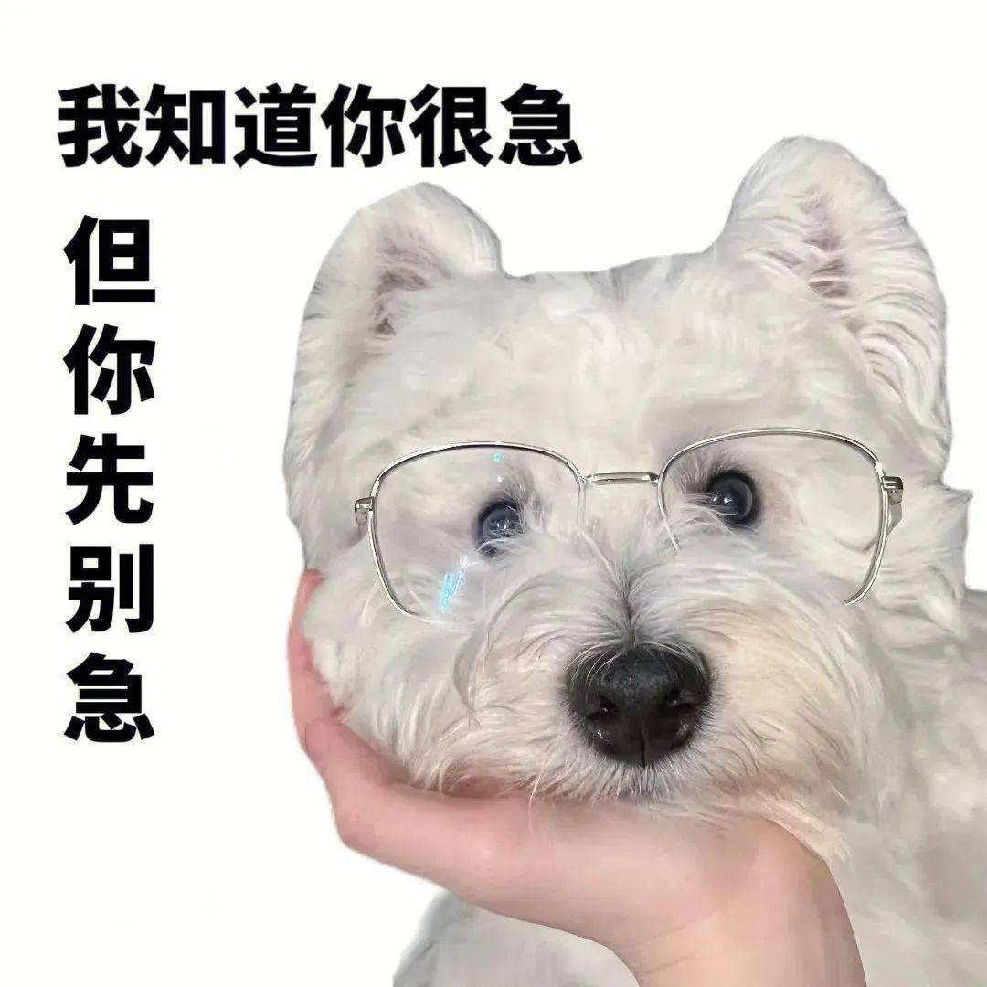 骗我可以,注意次数_表情_部分_建议