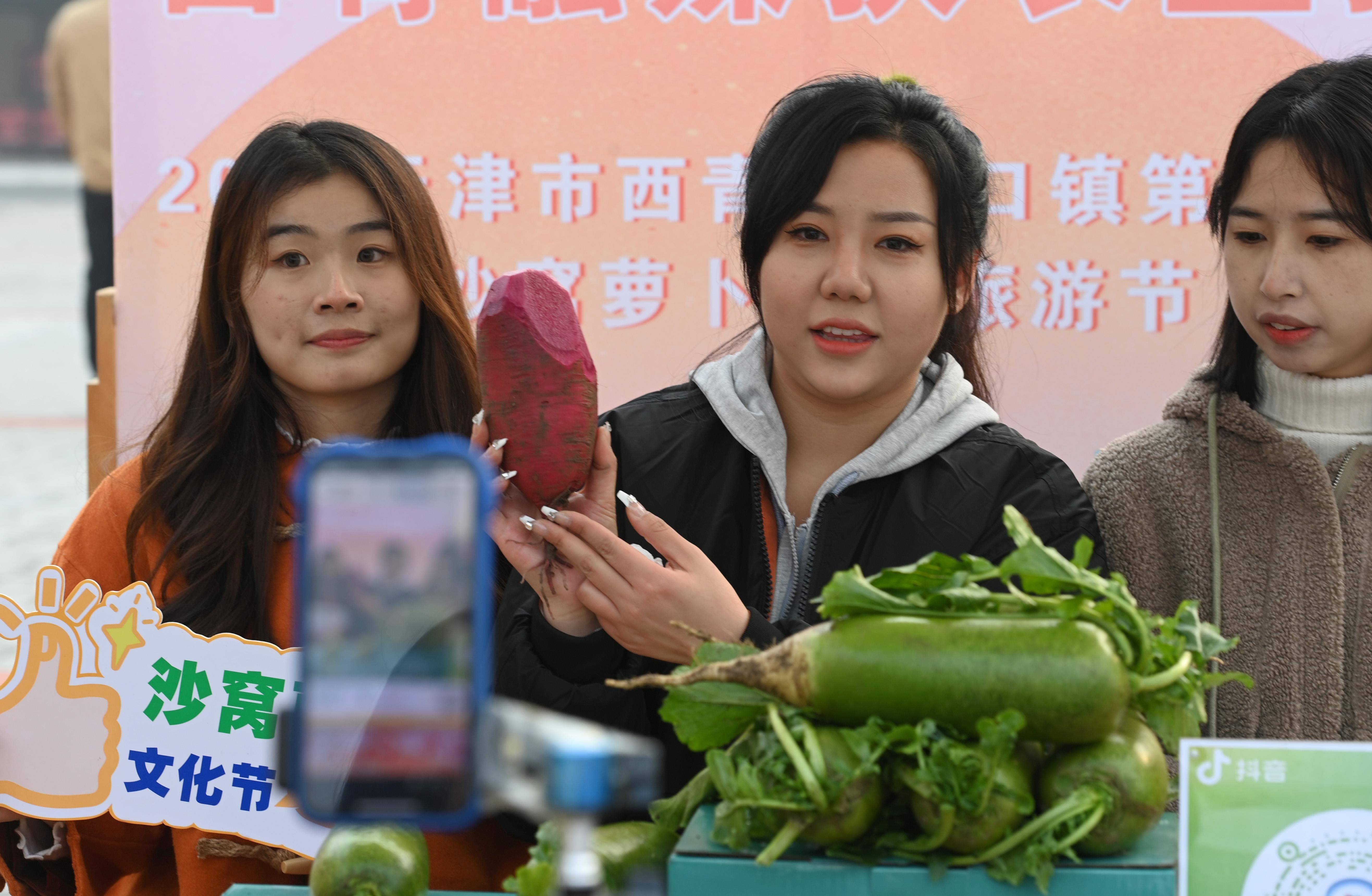 在天津市西青区辛口镇种植沙窝萝卜的大棚内,农民郭