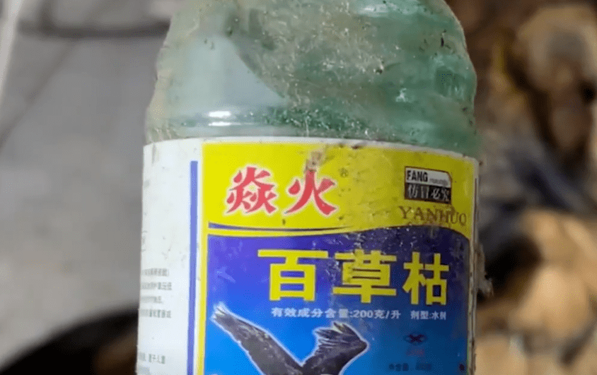 人触碰到就三级烧伤，超级“毒草”在欧洲泛滥，为什么那么可怕？_植物_漂亮_物质