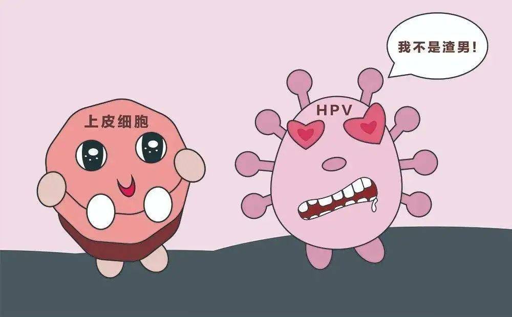 感染hpv就是女性不检点?这些因素别忽视!