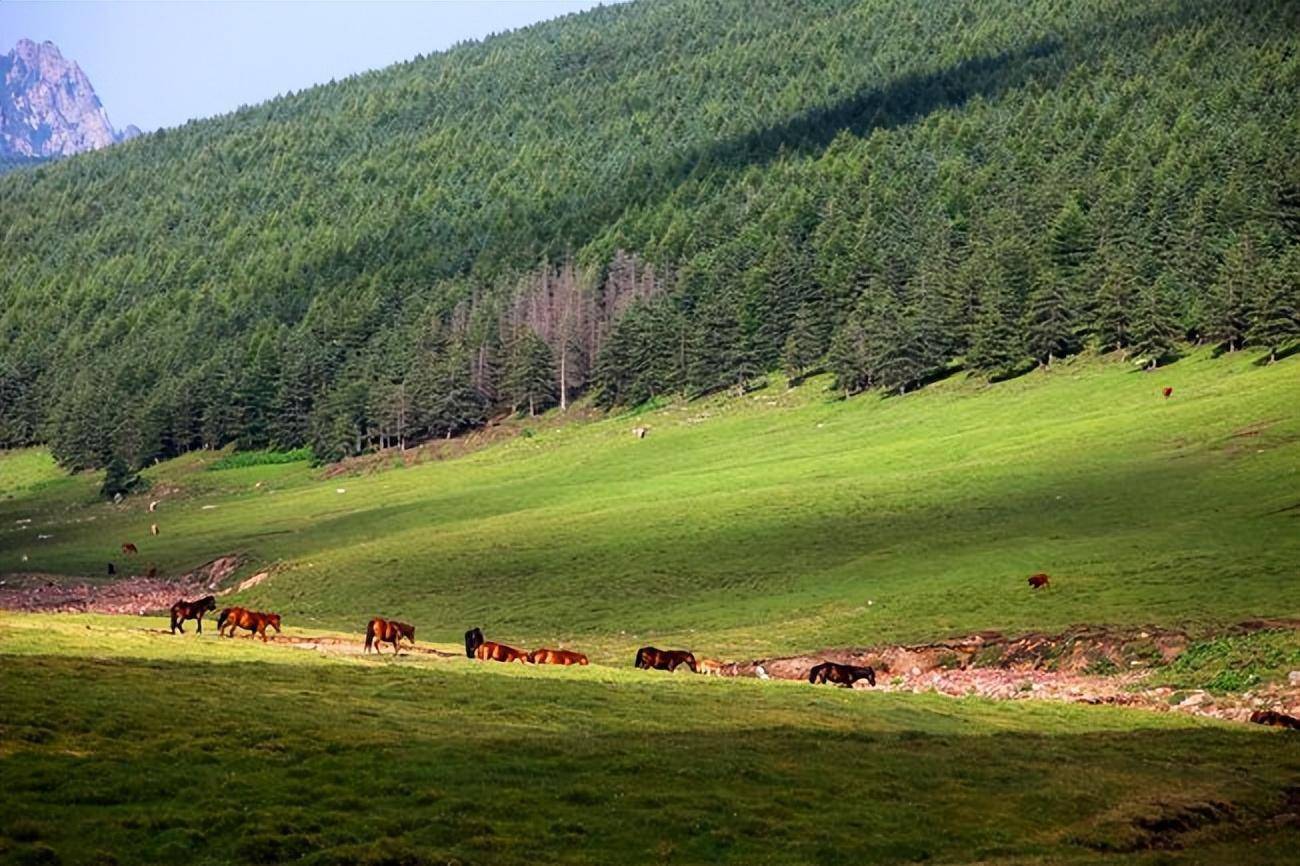 盆地_山西_黄河