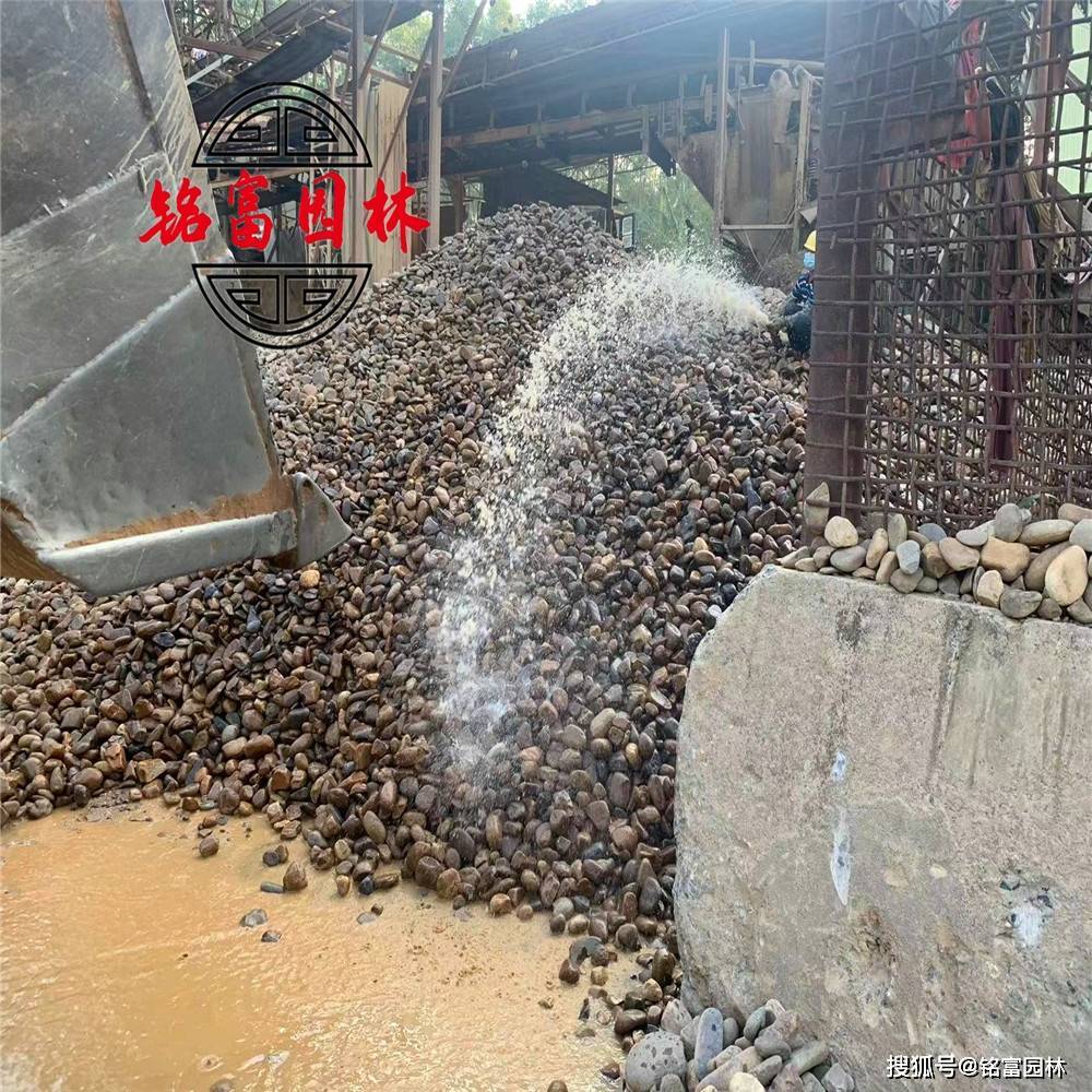 没想到（鹅卵石装饰庭院）庭院大鹅卵石铺设效果图，(图5)