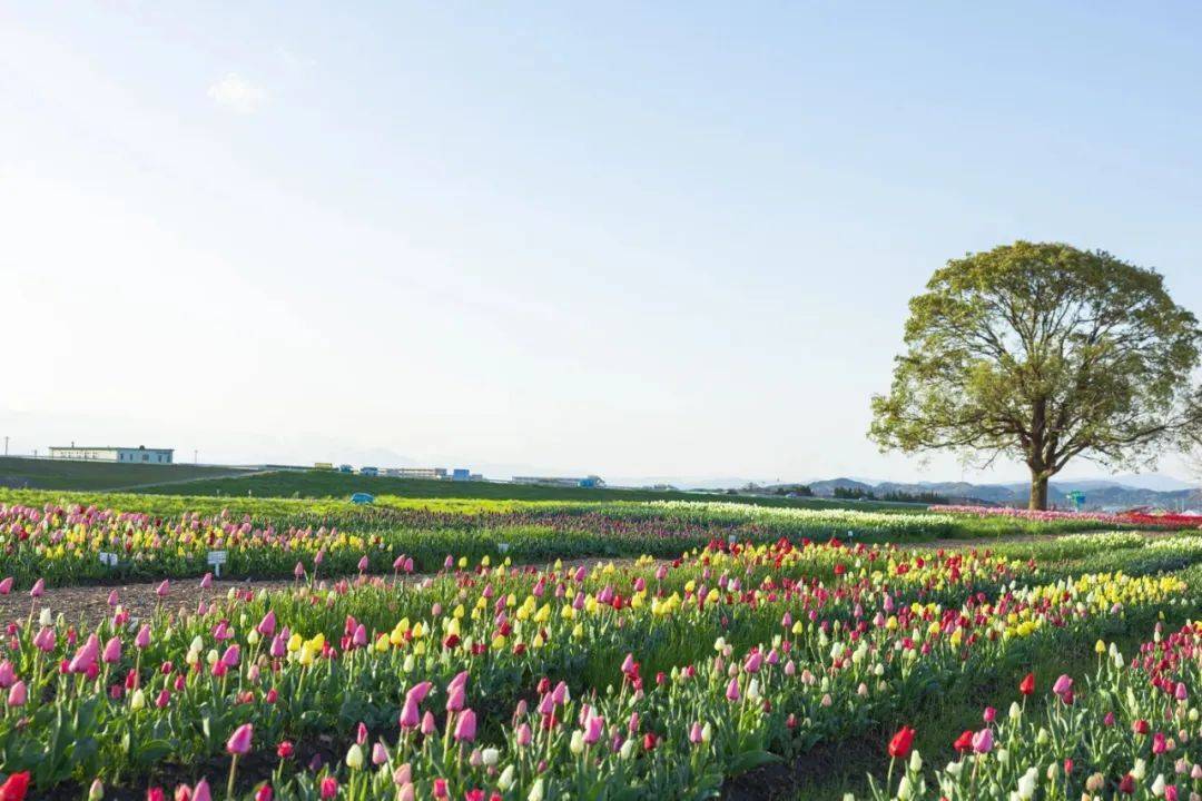 拖欠工资的国美还在关店中,黄光裕还在加速减持套现-家电圈官网