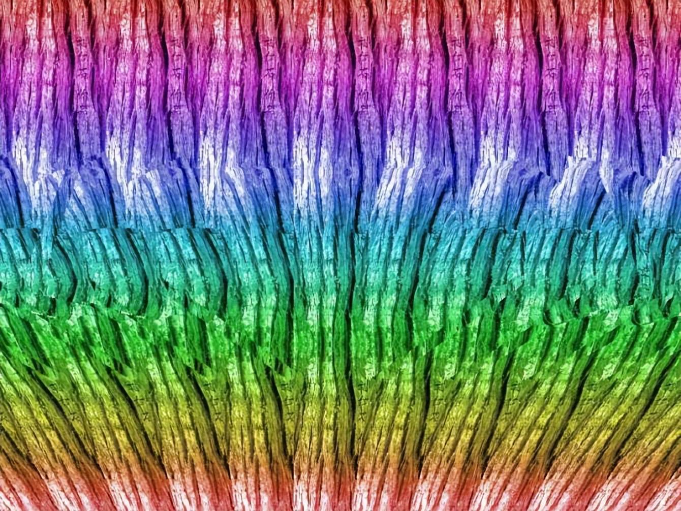 图片竟然隐藏如此美妙的立体图,难倒不少人_物体_世界_眼睛