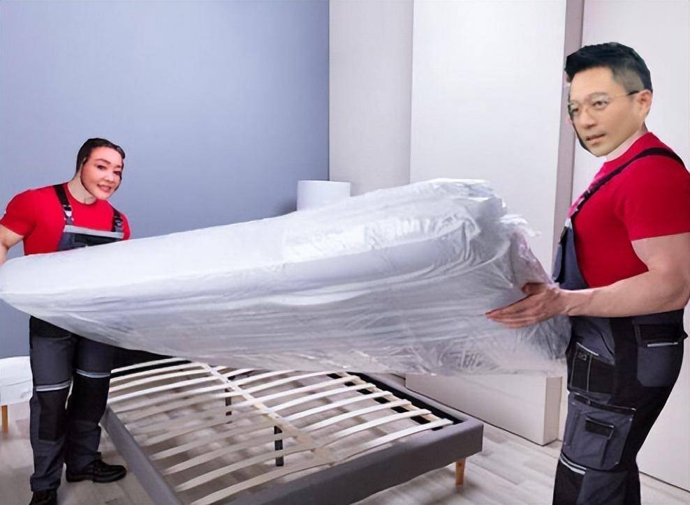 学会了吗（大s代言的家具品牌）大s代言的家纺品牌，(图6)