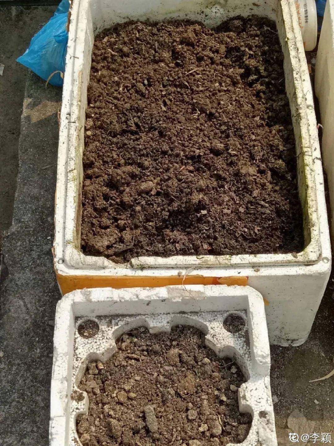 有些号称草炭土泥炭土的几块十几块几十块的都有太便宜的真不行