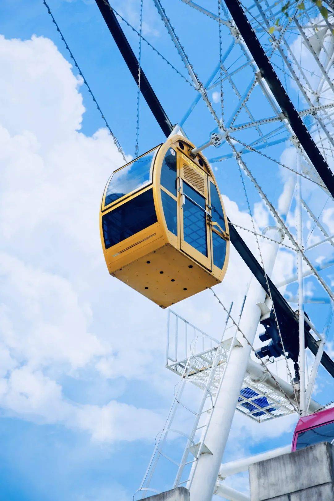 【百万葵园】限量抢购,先到先得!48秒单人全天通票!