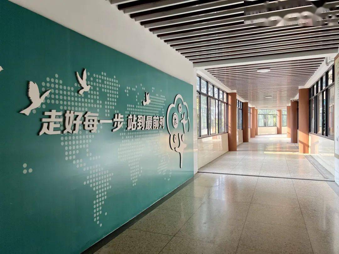 【我和站前的故事】情定"站前",我与学校血脉相连_大门_小学_金华市