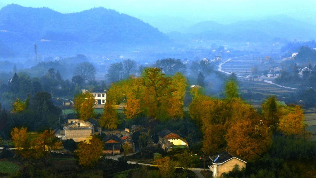 "中国美丽宜居村庄"—宁国市港口镇山门村_森林_景区_面积
