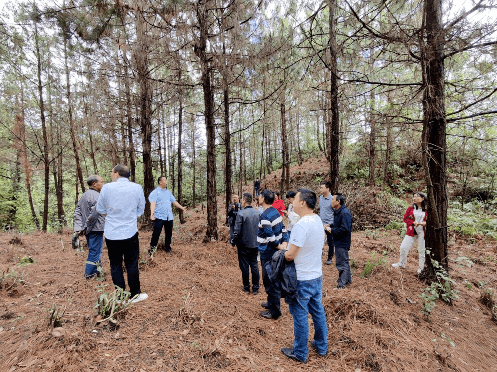 开江县灵岩镇驻村工作队当好"三员" 开创乡村振兴新局面_发展_销售