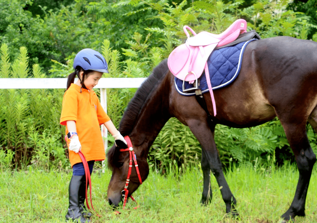 傳承馬背文化 體驗綠色休閒——達拉特旗邦成馬術特色小鎮_發展_產業