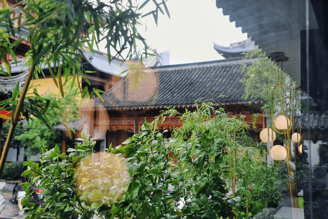 随和的人,到哪都有福气_生活_是一种_素食