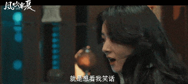 风吹半夏免费观看完整版高清电视剧_国产商战剧_女性创业剧