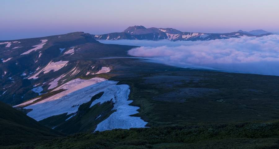 家电业起波澜：美的格力三翼鸟起跑，索尼京东康佳奥克斯万和破局-家电圈官网