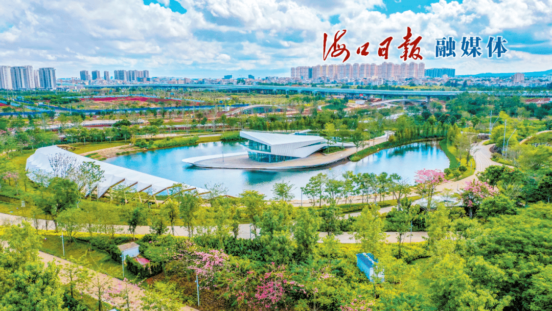 机遇海口 活力海口丨西海岸南片区生态修复工程项目推进稳，木棉花开艳_陈新卫_审核_陈欢