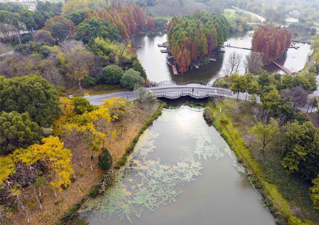 組圖|江蘇泰州:天德湖冬韻_景色_公園_時節