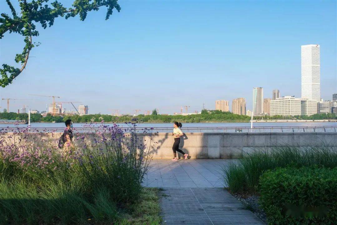 上海西岸滨水公共空间 | 打造人人共享的滨水美好生活_Hassell_设计_城市