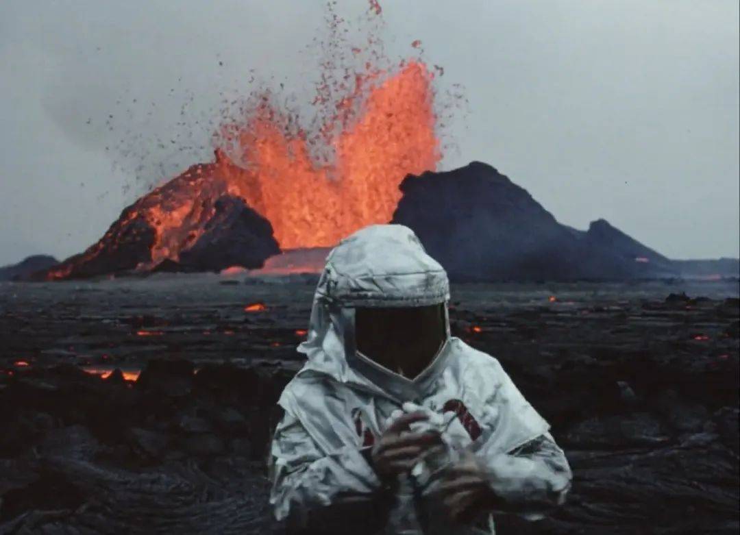 豆瓣9.0，对人类失望的时候，看看他们_搜狐网