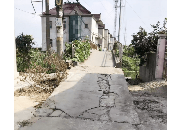 兴化市林湖乡:以行践学 让党史学习教育更有温度_魏庄村_群众_道路