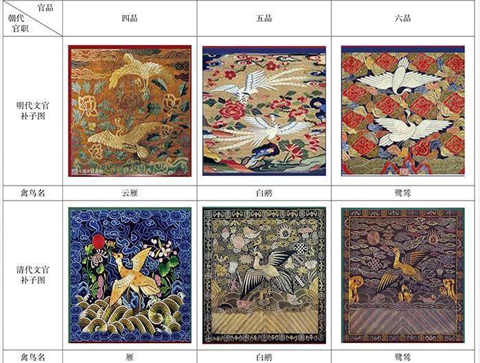 福建游客拍到“白凤凰”!传说中的神鸟下凡,真实身份是只野鸡?_手机搜狐网