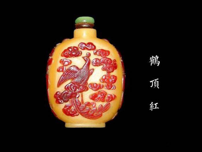 盔犀鸟：被人类活生生锯开头骨，曾经是我国进贡的贡品“鹤顶红”_搜狐网