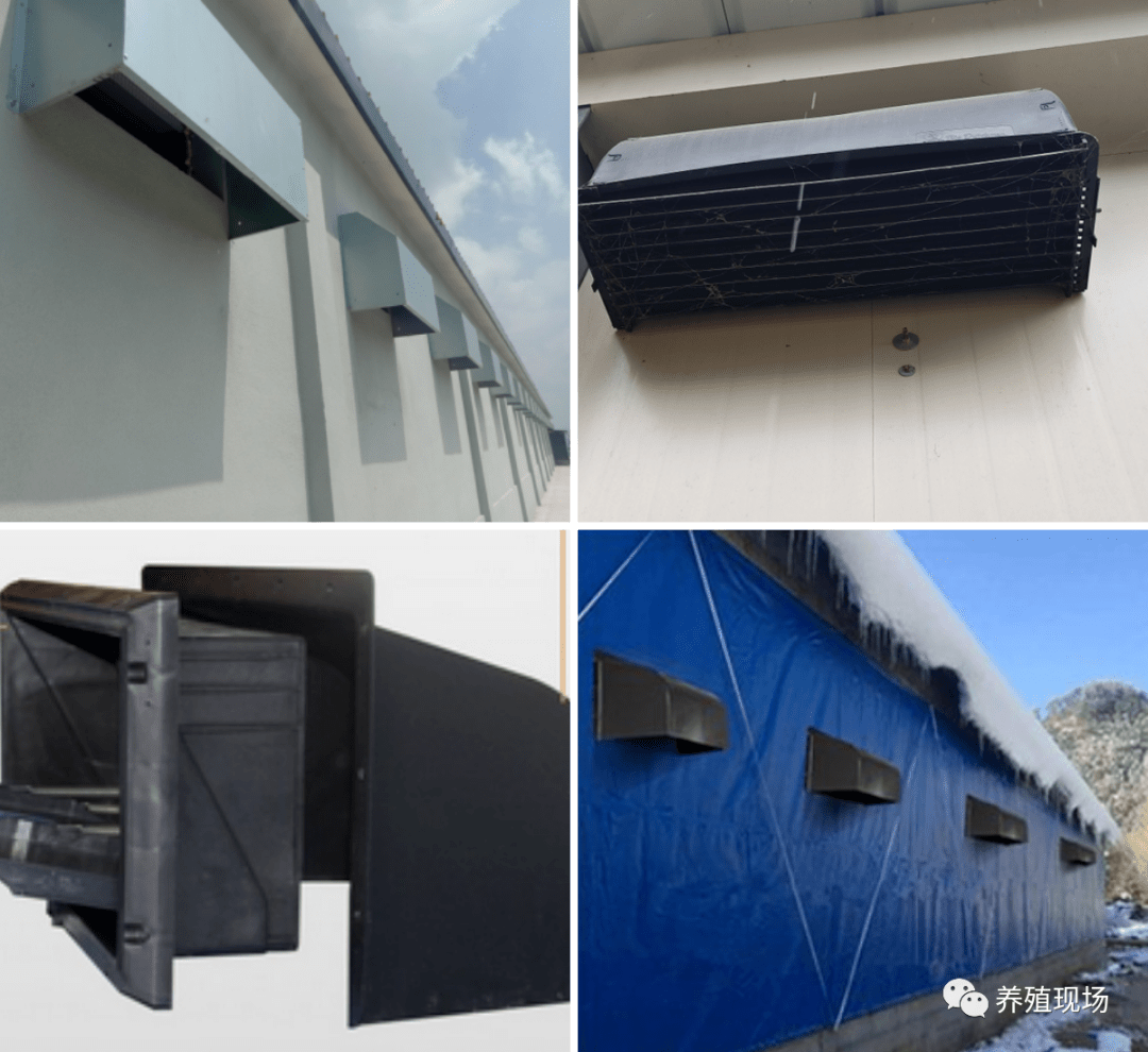 规模蛋鸡场通风系列之风窗挡风罩_鸡舍_影响_过渡