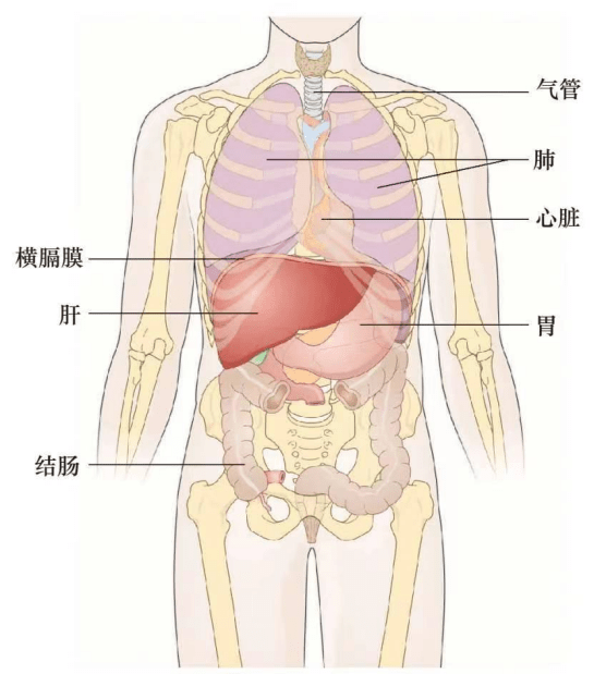 学会这招轻松跑完