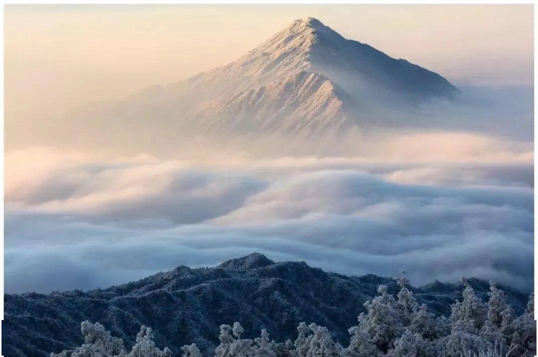 first snow幕阜山雪景昨天,大雲山落下了今年的第一場雪,據說只用了幾