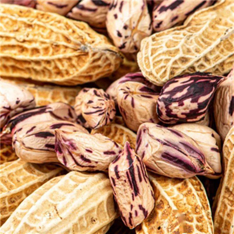 这种花纹是因为花生中含有大量花青素所造成的.