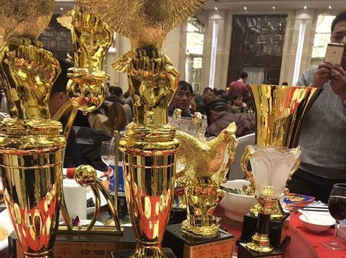 徐进和他的速度型赛鸽_鸽子_南京_成绩