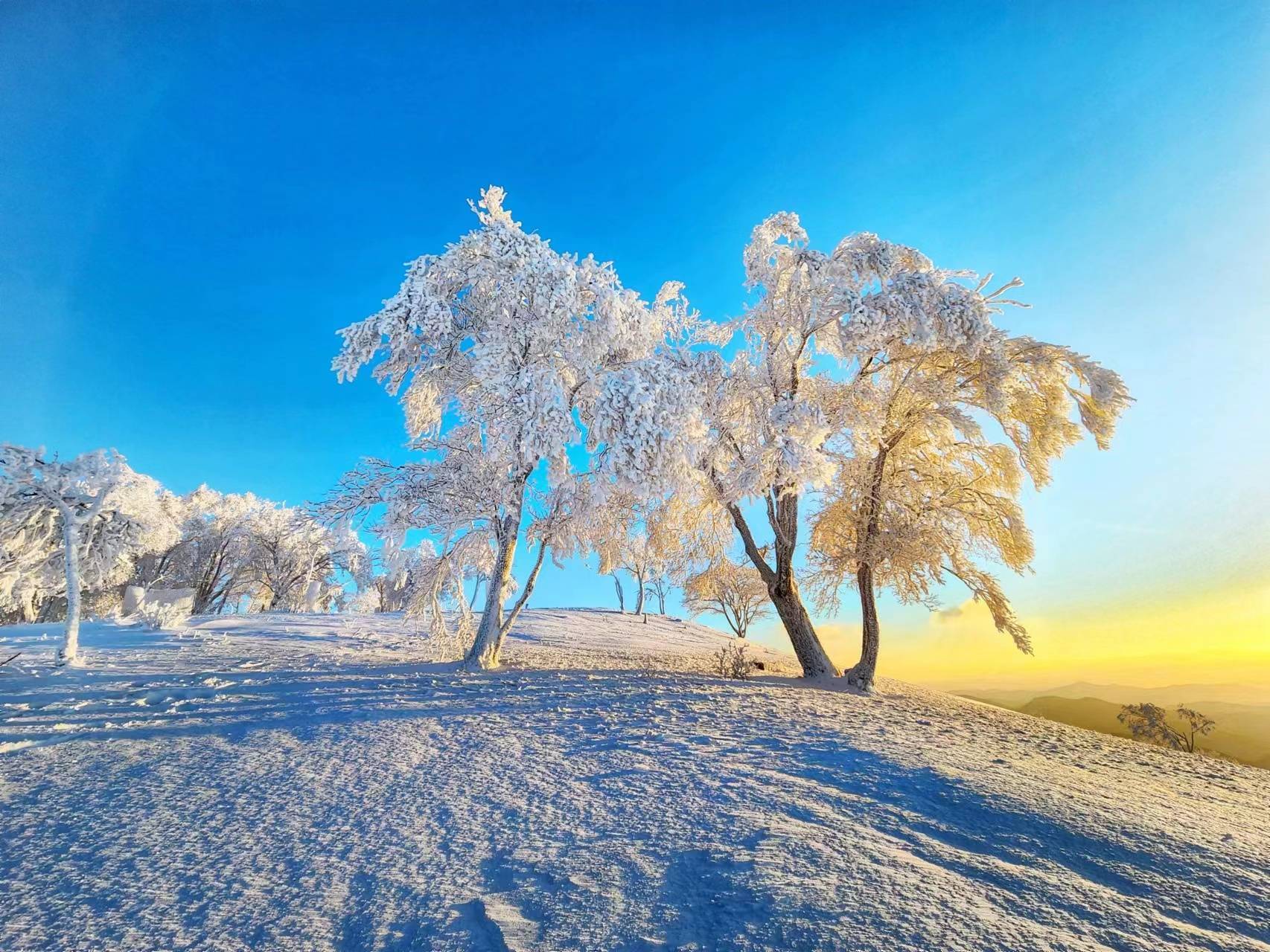 吉林雪景最美的地方图片