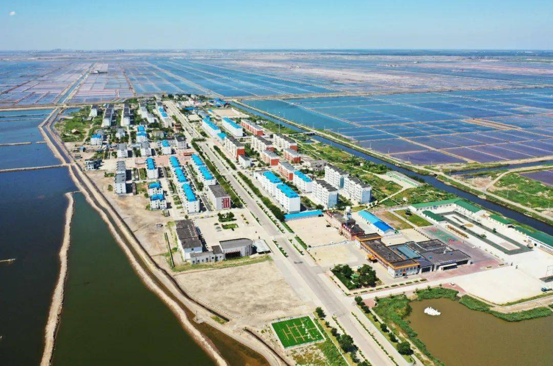 经济日报:河北唐山曹妃甸区国家级循环经济示范区发展调查_集团_公司