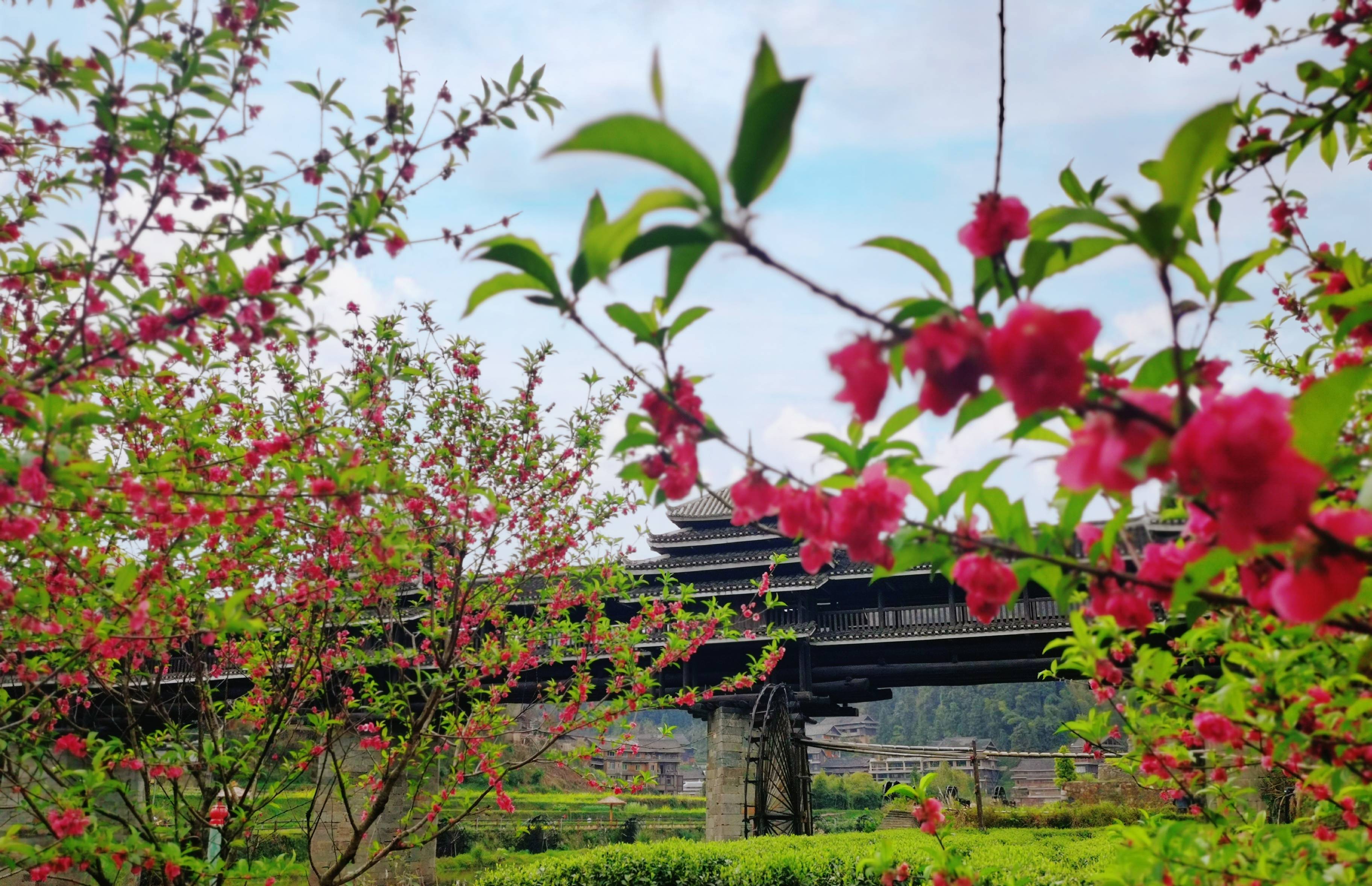 程阳风景区图片