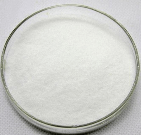 琥珀酰化修饰酪蛋白 succinatethiokinase-casein_哺乳动物_casein