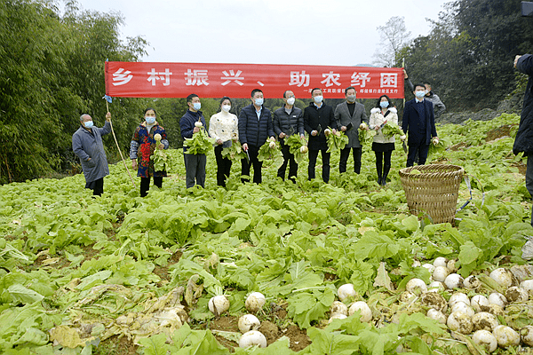 重庆涪陵：疫情造成蔬菜滞销 爱心接力帮助菜农纾困